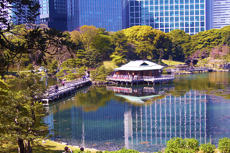 Cùng khám phá địa điểm Công viên thiên nhiên Hamarikyo (Hamarikyu Gardens) tại tokyo - GODY.VN