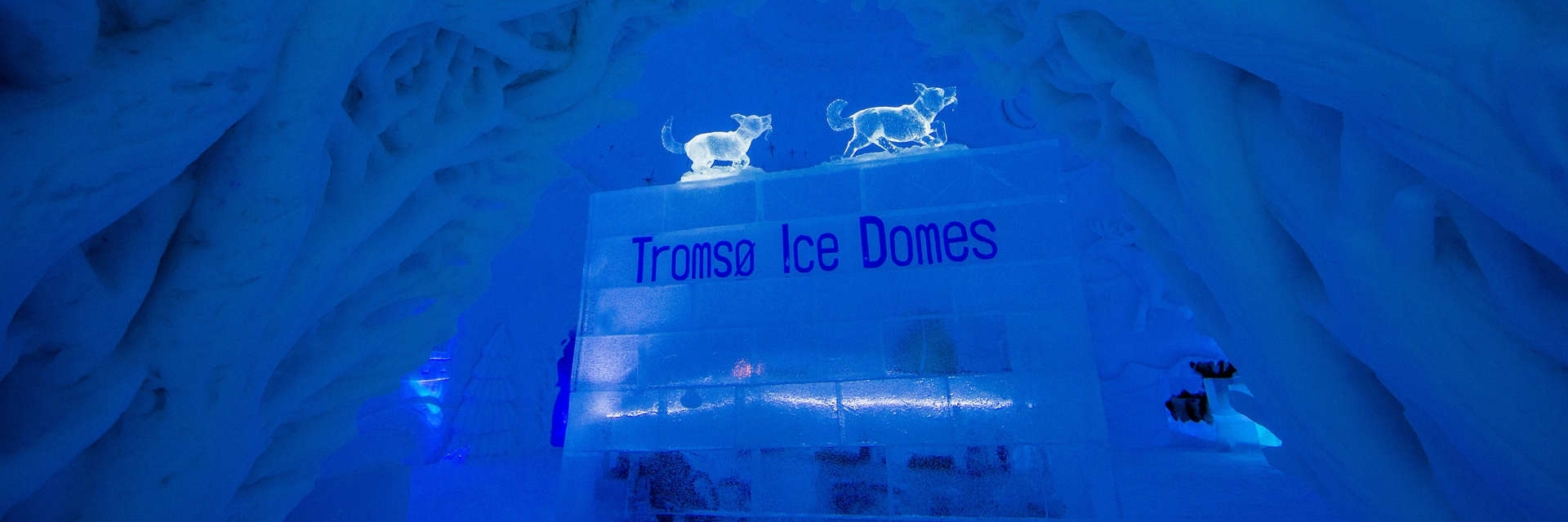 Khách Sạn Ice Domes (Ice Domes Hotel)