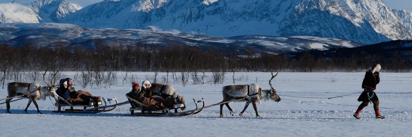 Sở Thú Tromso ( Tromso Safari )
