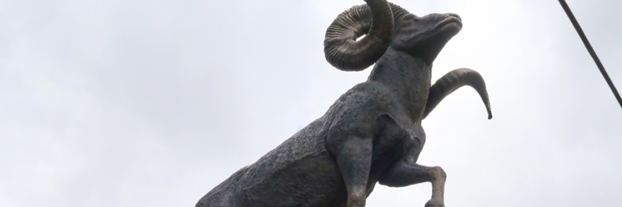 Tượng Altai Bighorn