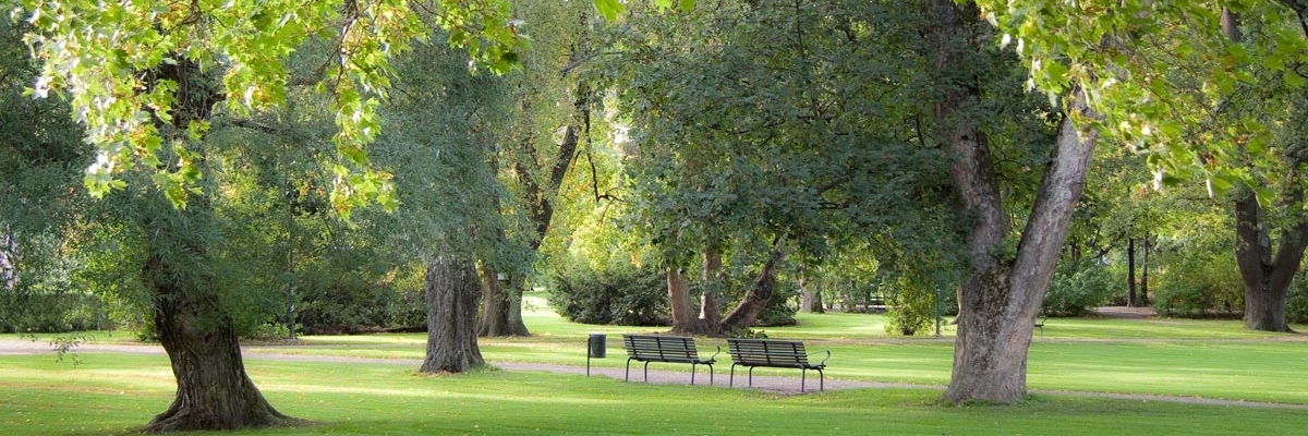 Công viên thành phố Uppsala (Stadsträdgården)