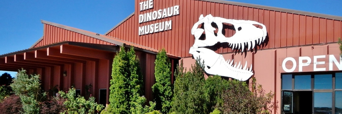 Bảo tàng khủng long (The Dinosaur Museum)