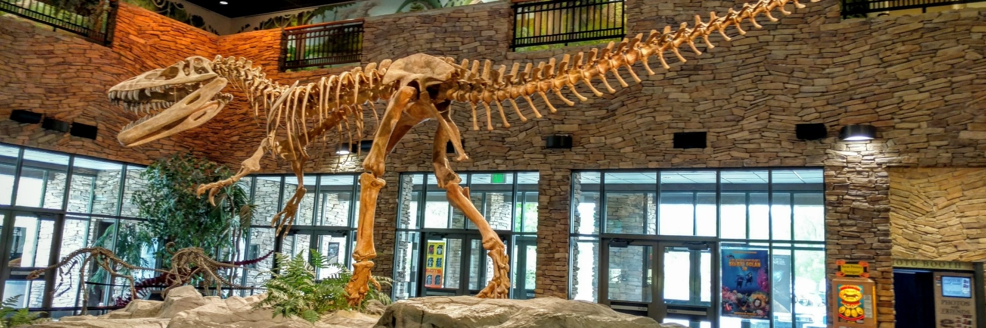 Bảo tàng sinh vật cổ đại (Museum of Ancient Life)
