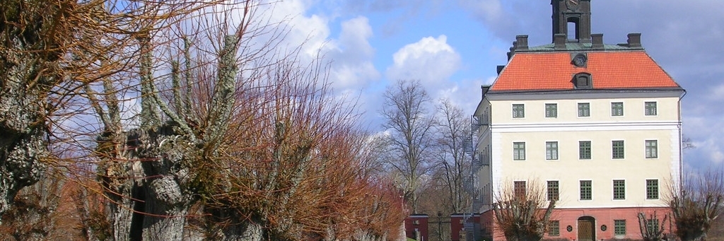 Lâu đài Engsö (Engsö Castle)