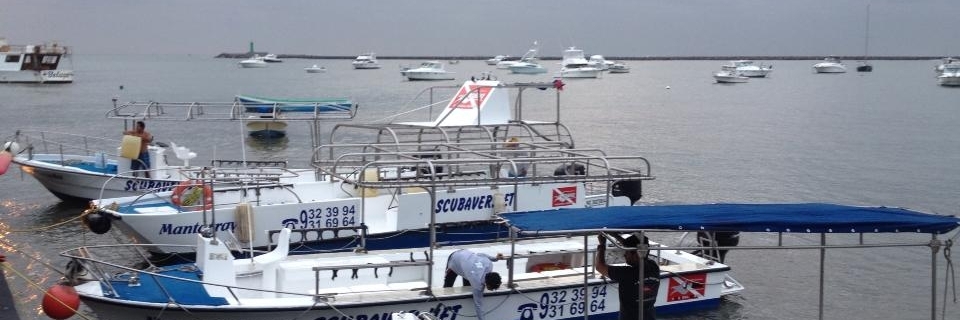 Trại lặn Buceo Veracruz (Scubaver Buceo Veracruz)
