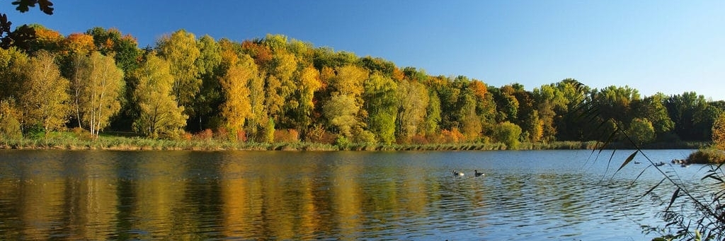 Hồ Silbersee (Lake Silbersee)