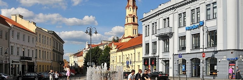 Tòa Thị Chính Vilnius ( Town Hall )