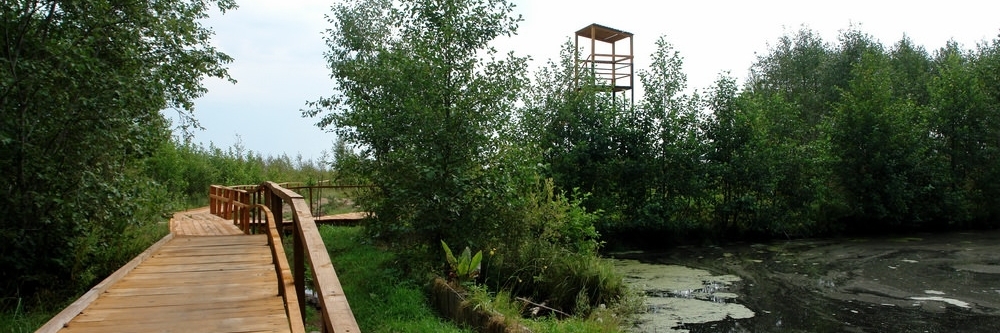 Khu bảo tồn cảnh quan Yelnya (Yelnya Landscape Reserve)