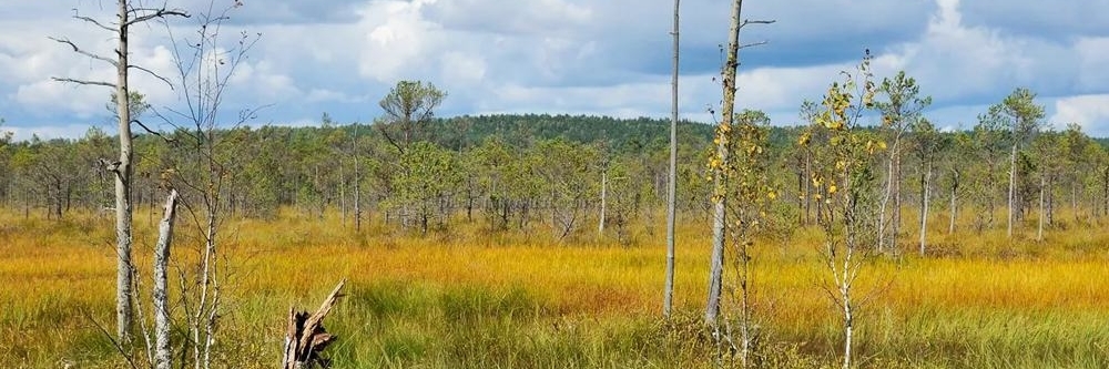 Khu Bảo Tồn Sinh Quyển Berezinsky (Berezinsky Biosphere Reserve)