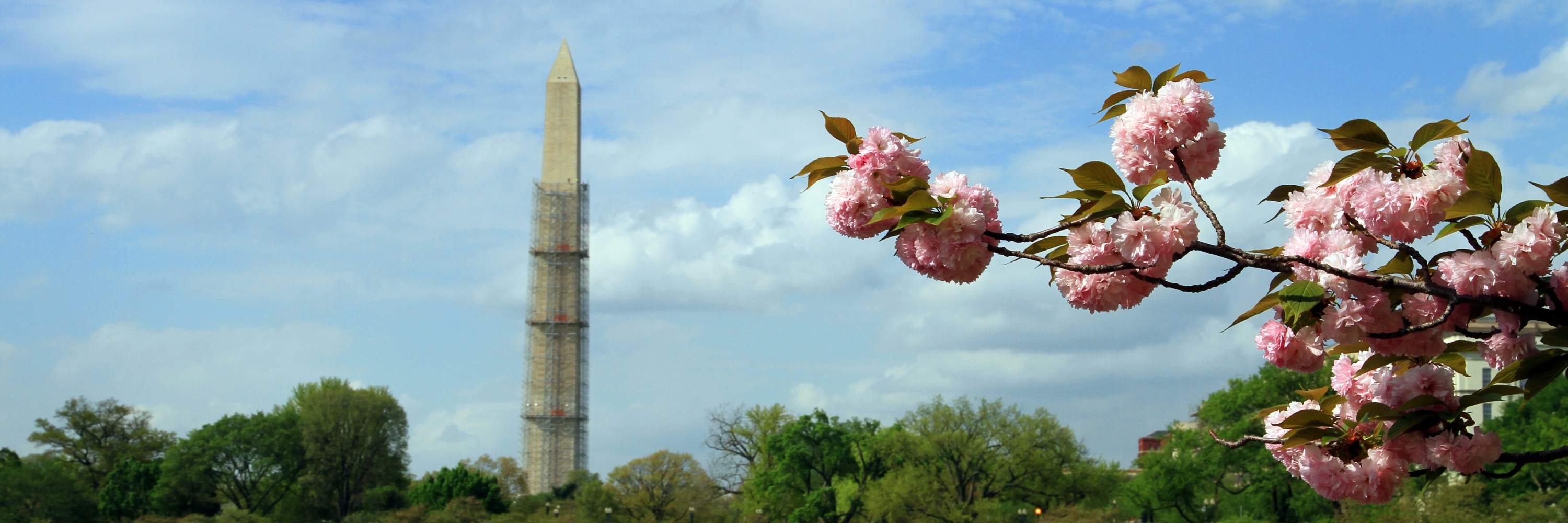 Hồ Tidal Basin (Tidal Basin)