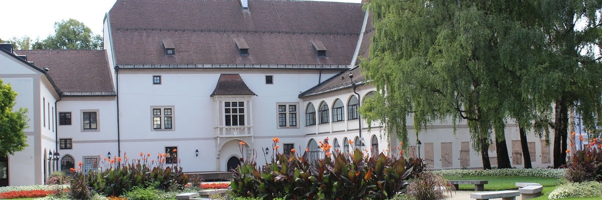 Bảo tàng Burg Wels (Burg Wels)