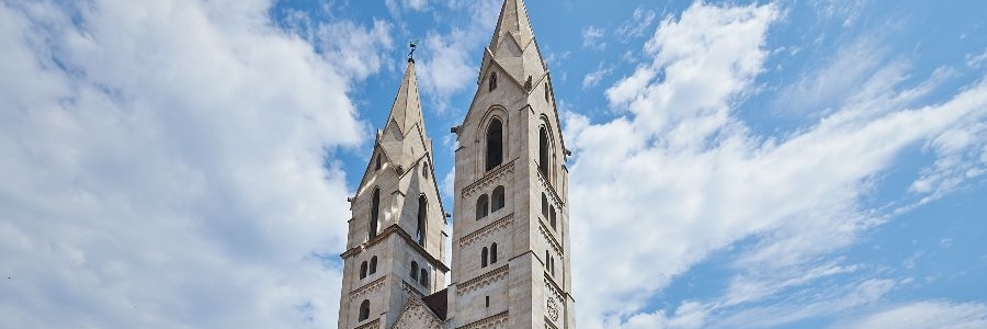 Nhà thờ Wiener Neustadt (Dom Wiener Neustadt)