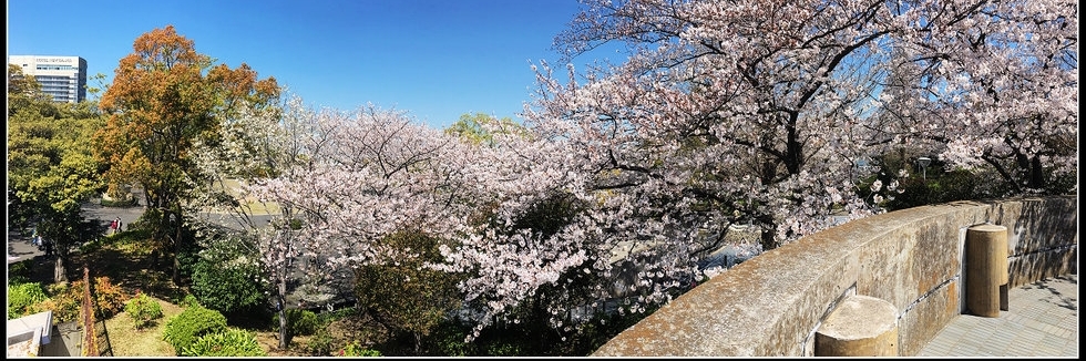 Công viên Yamashita (Yamashita Park)