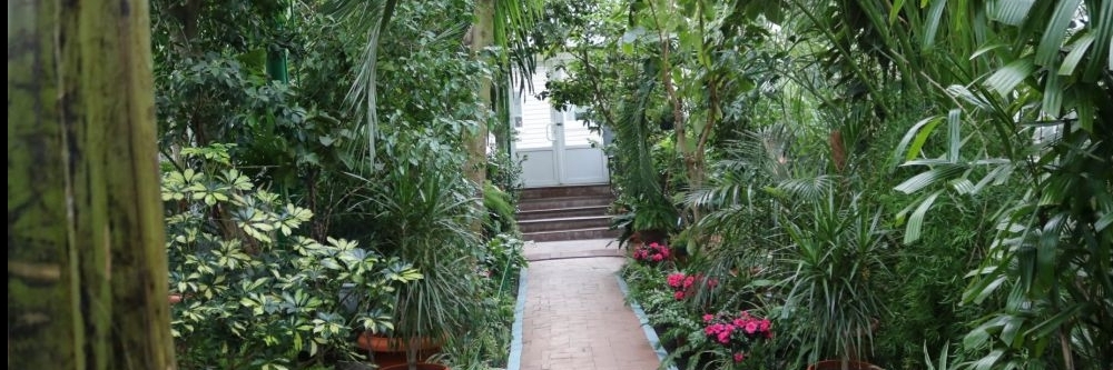 Vườn bách thảo trẻ em thành phố Zaporizhia (Zaporizhia City Children Botanical Garden)