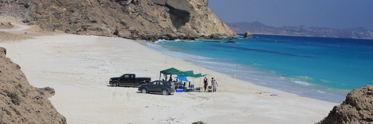 Bãi biển Al Fazayah (Al Fazayah Beach)
