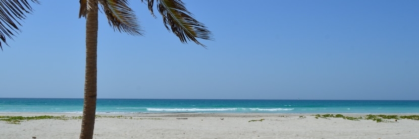 Bãi biển Taqa (Taqa Beach)