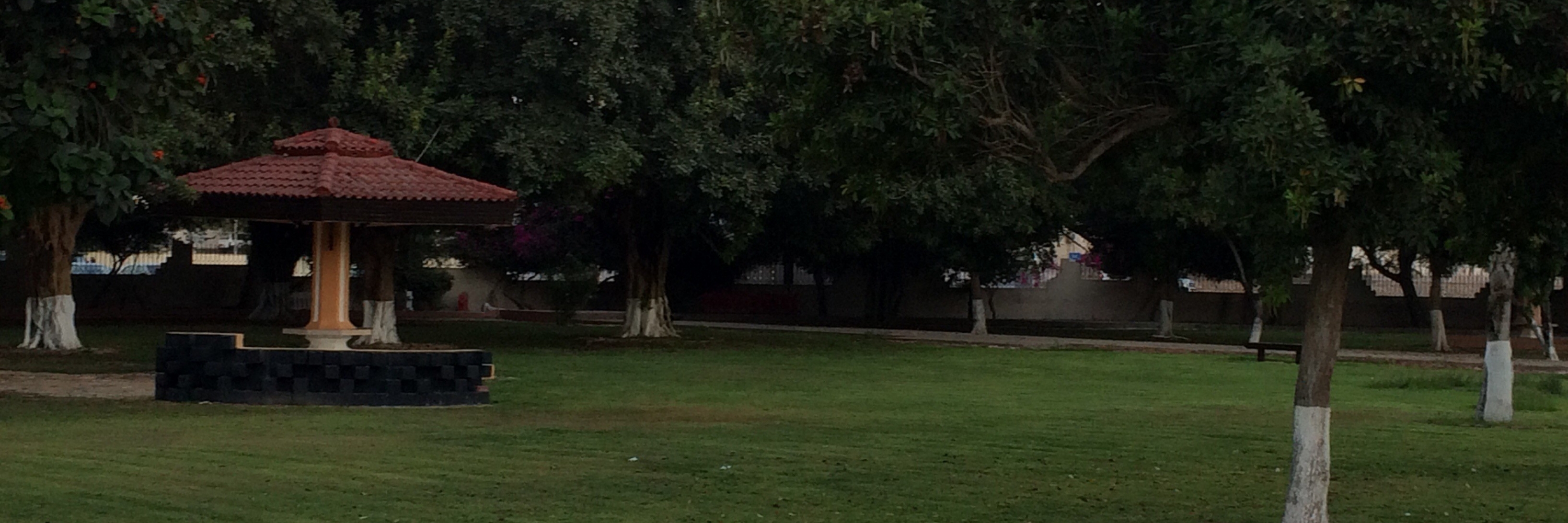 Công viên Salalah (Salalah Public Park)
