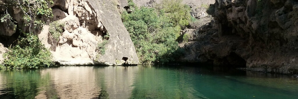 Suối và thung lũng Sahalnoot (Ayn Sahalnoot and Wadi Sahalnoot)
